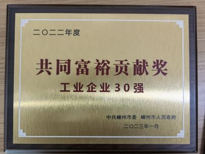 2022年度共同富裕貢獻獎工業(yè)企業(yè)30強