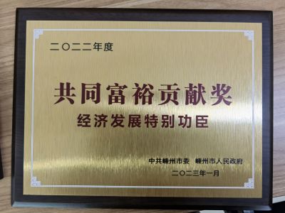 2022年度共同富裕貢獻獎經濟發(fā)展特別功臣